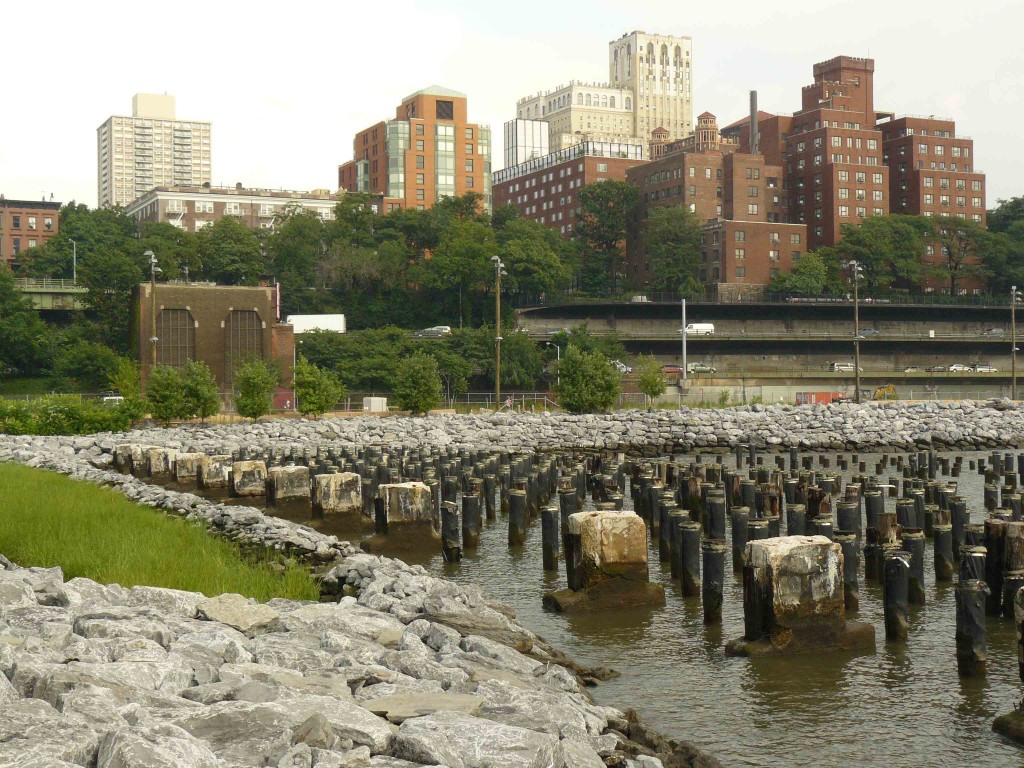 3 - Brooklyn Bridge Park_bd