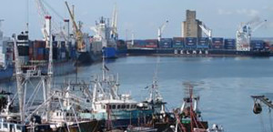 Africa: port fever against crisis?