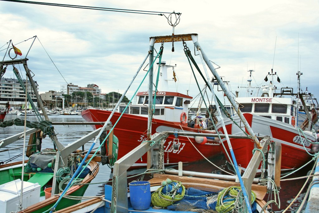 Barcos de pesca_03_Dàrsena pesquera