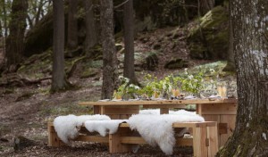 The wild side of the New Nordic Cuisine