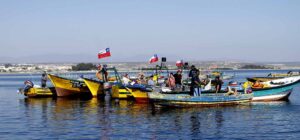 Growth of Female Work in Artisanal Fishing: Challenges of the Chilean Experience