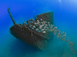 Science, Collaboration and Commitment to Recover the Underwater Wealth of the Tarragona Coast