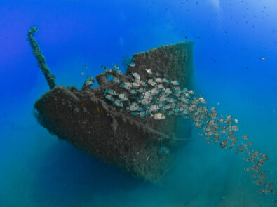 Science, Collaboration and Commitment to Recover the Underwater Wealth of the Tarragona Coast
