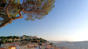 The Monks’ Secret: When a Pastry Becomes the Destination of a Journey