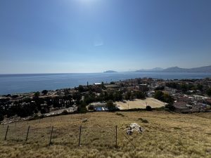 Ex Chimica Arenella: When a Factory Shapes the Landscape